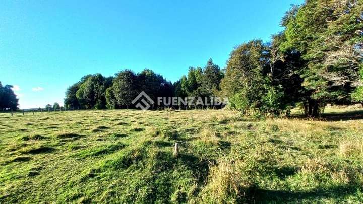 Sitio en venta en Los Muermos, APP