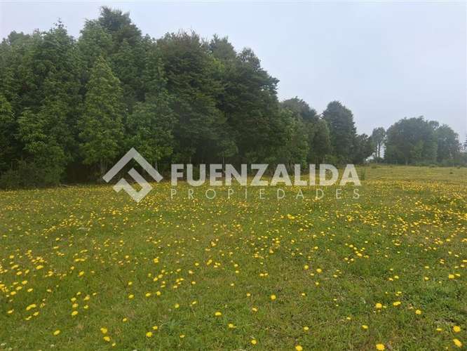 Sitio en venta en Los Muermos, APP