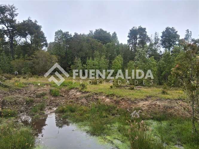 Sitio en venta en Los Muermos, APP