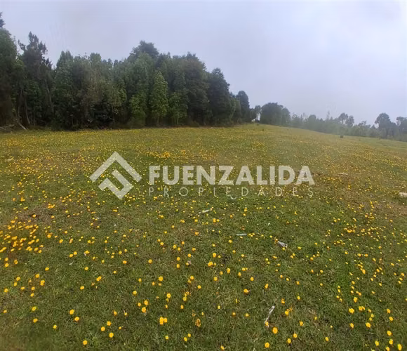Sitio en venta en Los Muermos, APP