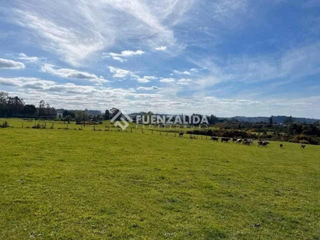 Terreno Grandes Dimensiones Mixto Comercial Puerto Varas - Imagen 7