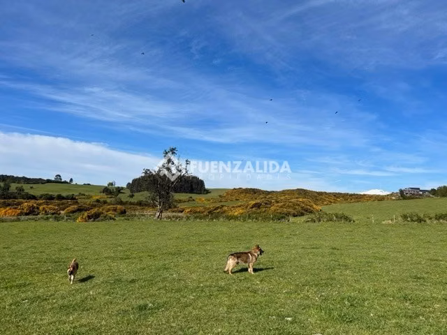 Terreno Grandes Dimensiones Mixto Comercial Puerto Varas - Imagen 8