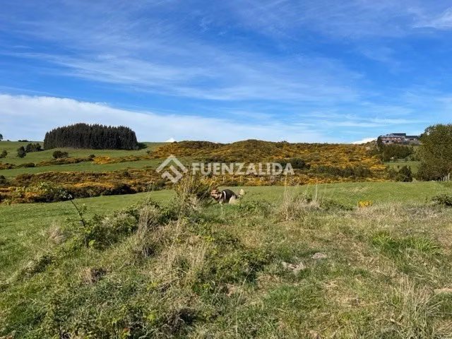 Terreno Grandes Dimensiones Mixto Comercial Puerto Varas - Imagen 11