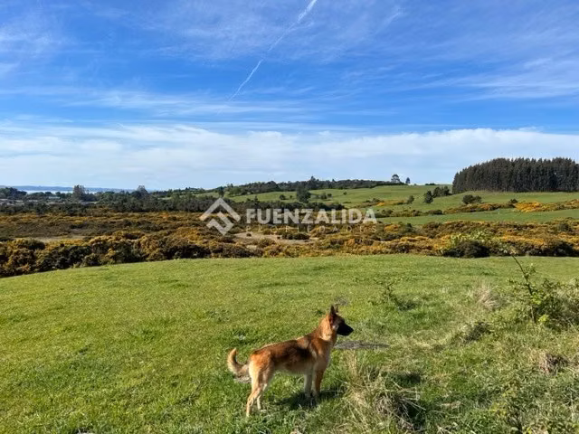 Terreno Grandes Dimensiones Mixto Comercial Puerto Varas - Imagen 12