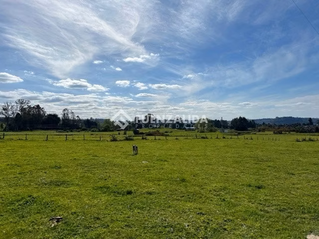 Terreno Grandes Dimensiones Mixto Comercial Puerto Varas - Imagen 5