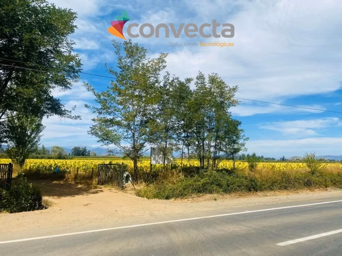 Agrícola en venta en Futalefu