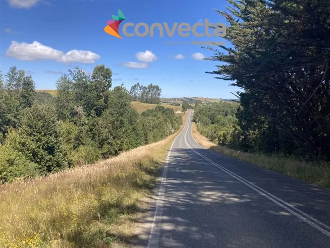 Agrícola en venta en Futalefu