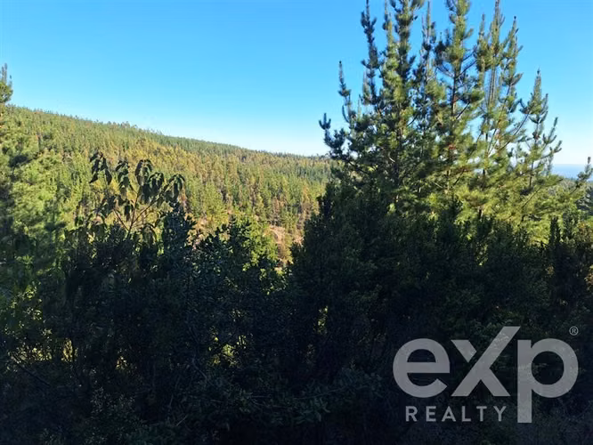 Vende Sitio L387 5000m2 vista al mar en Pichilemu