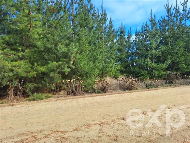 Vende Sitio L387 5000m2 vista al mar en Pichilemu