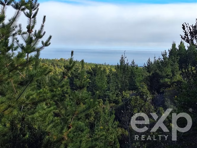 Vende Sitio L387 5000m2 vista al mar en Pichilemu