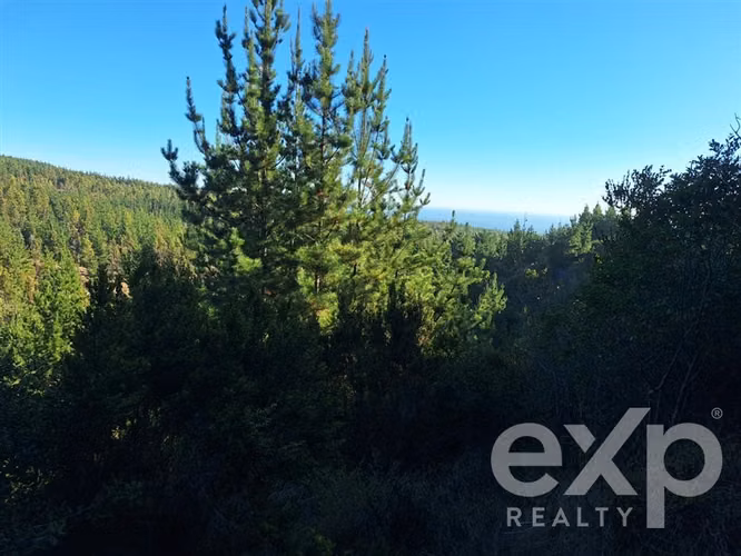 Vende Agrícola L387 en Pichilemu