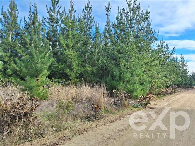 Vende Parcela L387 5000m2 en Pichilemu - Imagen 12