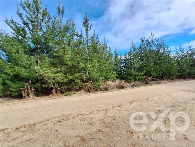 Vende Parcela L387 5000m2 en Pichilemu - Imagen 11