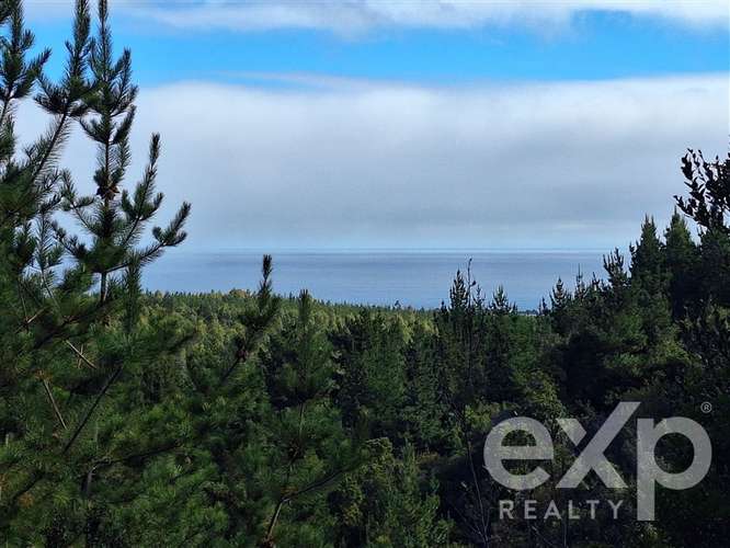 Vende Parcela L387 5000m2 en Pichilemu - Imagen 6
