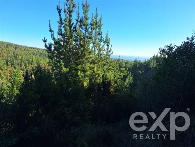 Vende Parcela L387 5000m2 en Pichilemu - Imagen 2