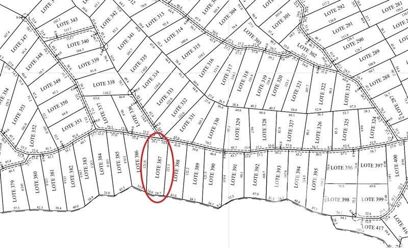 Vende Parcela L387 5000m2 en Pichilemu - Imagen 16