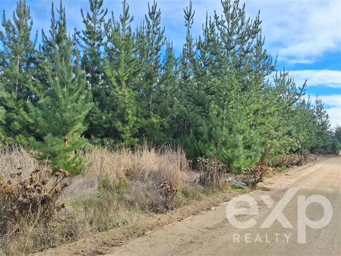Vende Parcela L387 5000m2 en Pichilemu