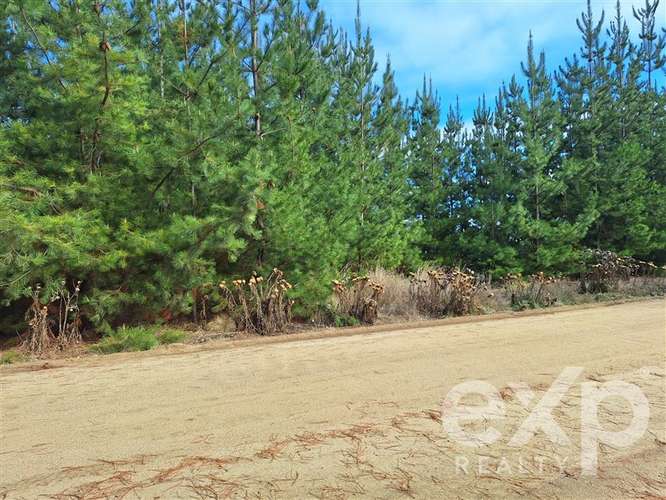 Vende Parcela L387 5000m2 en Pichilemu - Imagen 10