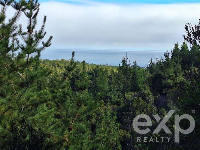 Vende Parcela L387 5000m2 en Pichilemu - Imagen 8