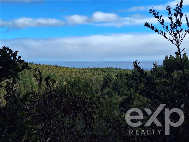 Vende Terreno L387 5000m2 en Pichilemu