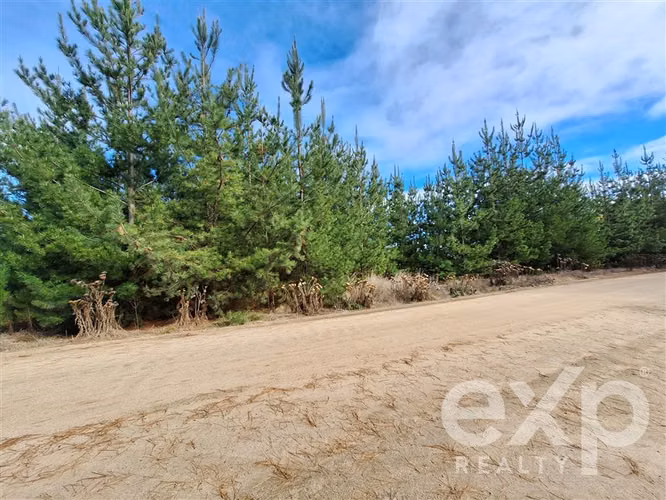 Vende Terreno L387 5000m2 en Pichilemu