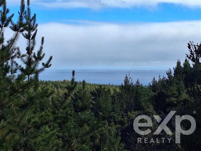 Vende Terreno L387 5000m2 en Pichilemu