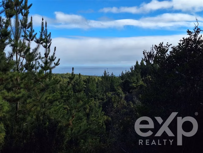 Vende Terreno L387 5000m2 en Pichilemu