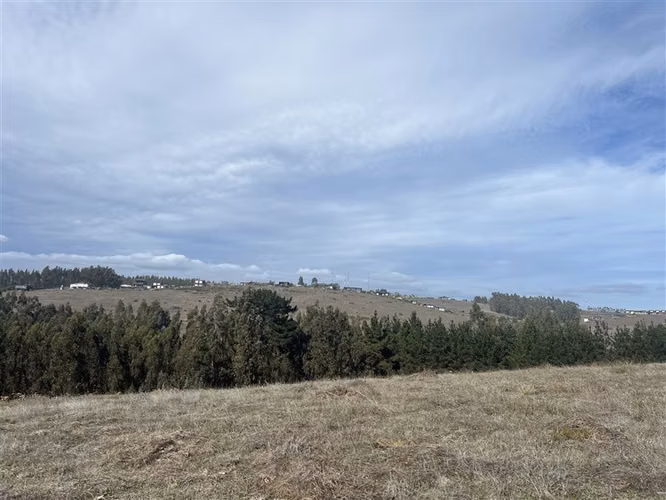 Sitio en venta en Matanzas - Imagen 4