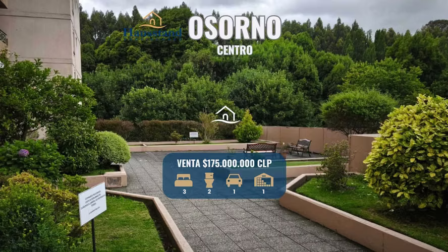 Vive a pasos de todo! en el corazón de Osorno (163092)