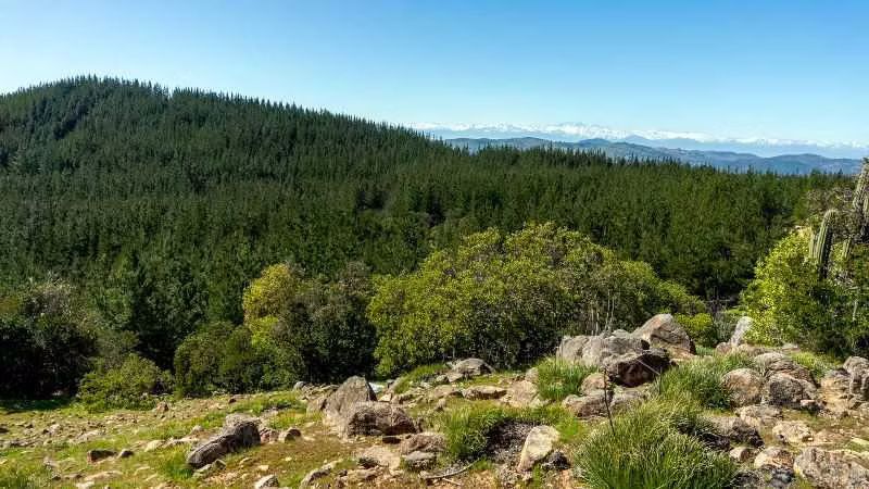 Vendo Terreno de 5.000 m² en Chépica  (163117)