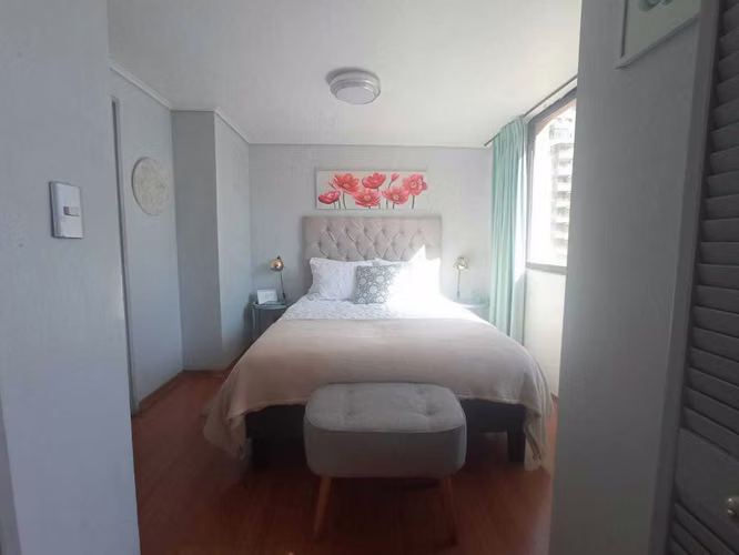 Arriendo amoblado con gasto común incluido (163119)