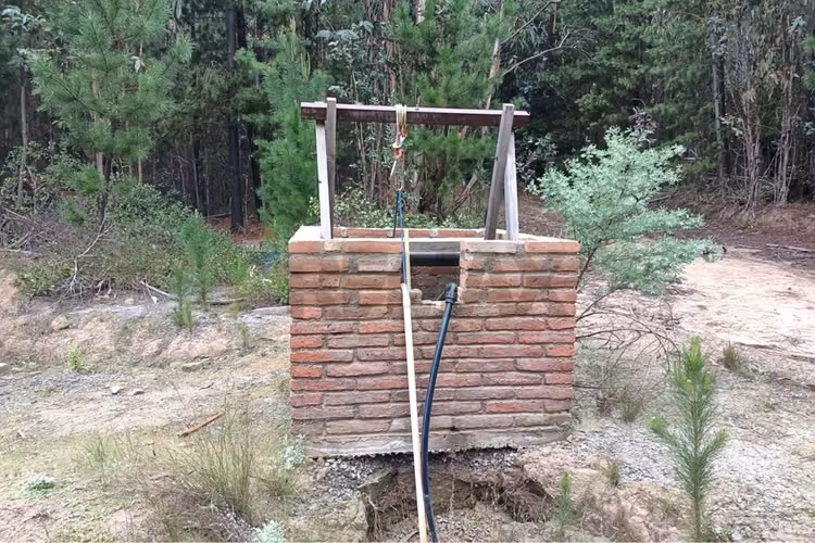 Parcela de matanza  pupuya - Imagen 12