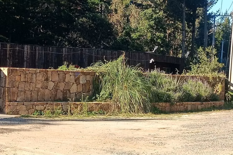 Parcela de matanza  pupuya - Imagen 26