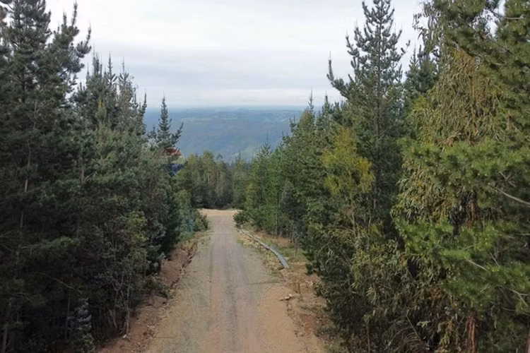 Parcela de matanza  pupuya - Imagen 3
