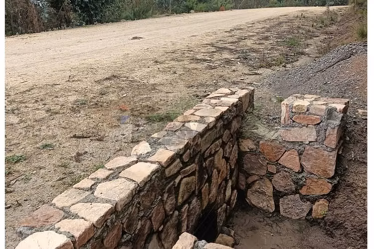 Parcela de matanza  pupuya - Imagen 8