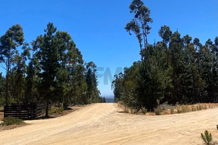 Parcela de matanza  pupuya - Imagen 4