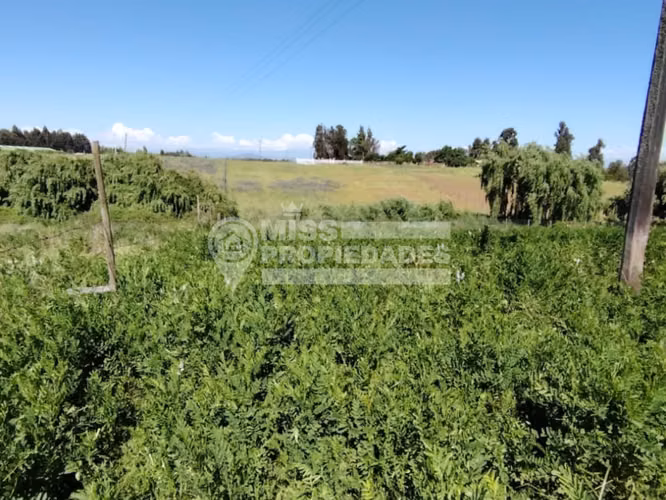 VENDE TERRENO - PELARCO
