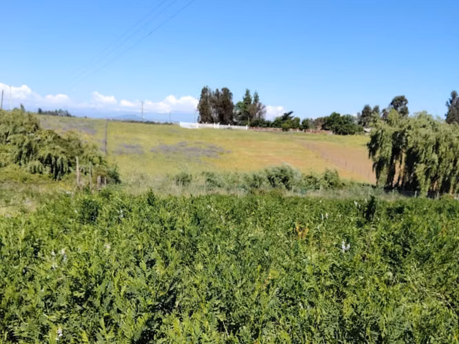 VENDE TERRENO - PELARCO