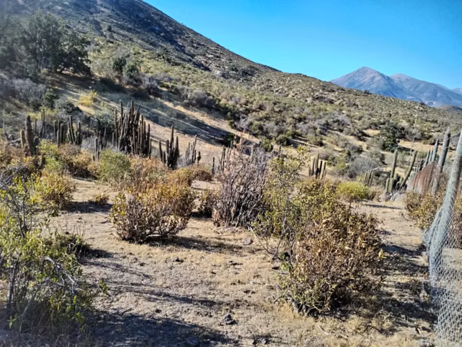 VENDE TERRENO EN PALQUICO - LA LIGUA