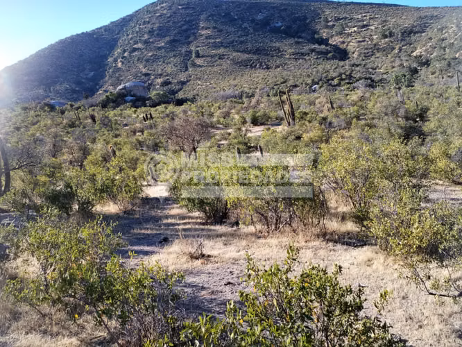 VENDE TERRENO EN PALQUICO - LA LIGUA