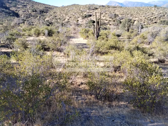 VENDE TERRENO EN PALQUICO - LA LIGUA