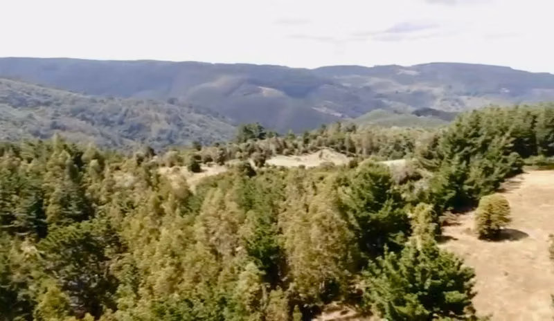Sitio TROVOLHUE