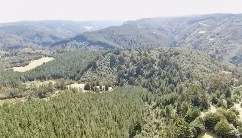 Sitio TROVOLHUE