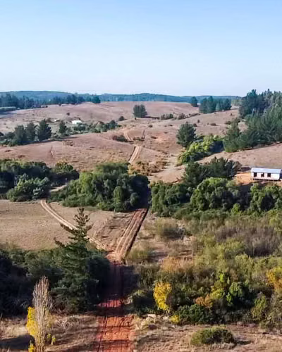 Gran Parcela con Casa en Rere Yumbel (163207)