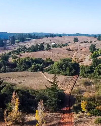 Gran Parcela con Casa en Rere Yumbel (163207) - Imagen 3