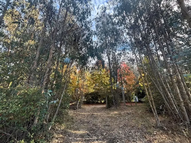 Sitio en venta en Santo Domingo