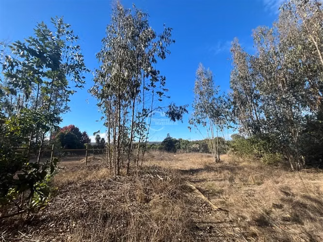 Sitio en venta en Santo Domingo