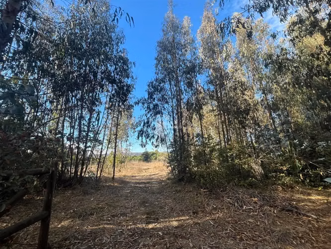 Sitio en venta en Santo Domingo