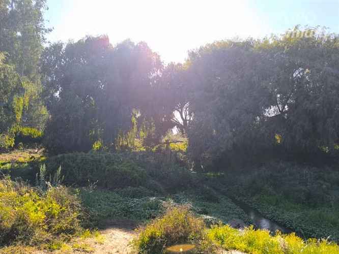 Parcela en venta en Melipilla