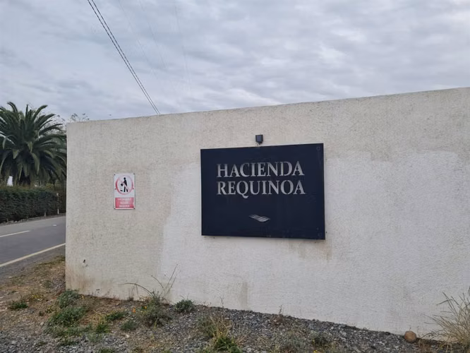 PARCELA Parcela en VENTA en Hacienda Requínoa 1 - Imagen 12